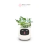 Maceta Inteligente Ivy Smart Plant - Imagen 4